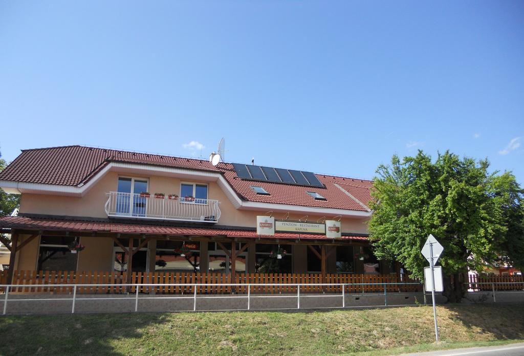 Guest house Penzion Kaplna Kaplna